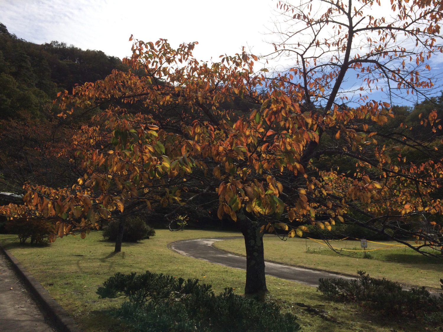 リフォーム　風呂　バスルーム　仙台　費用